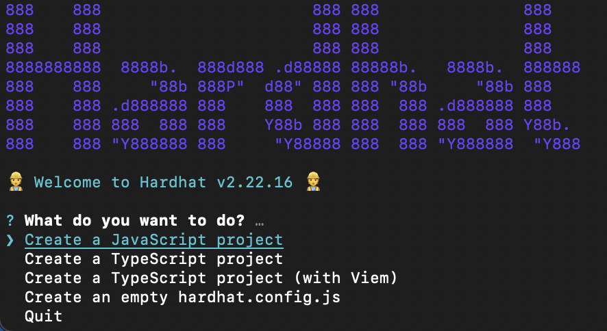 2024-11-23-hardhat-setting-03