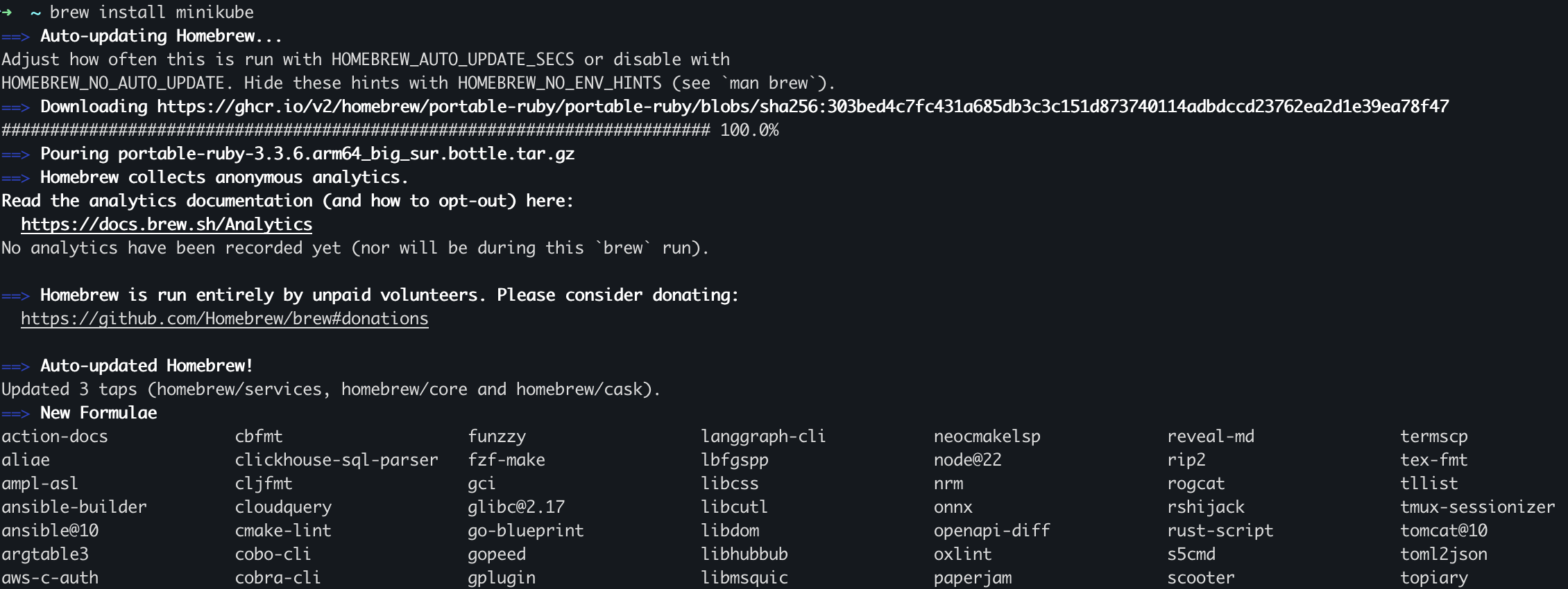 2024-12-17-minikube-03
